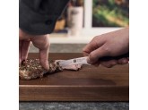 Набор ножей Zwilling Spectrum 4 предмета