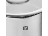 Кастрюля с крышкой 20 см Zwilling TrueFlow
