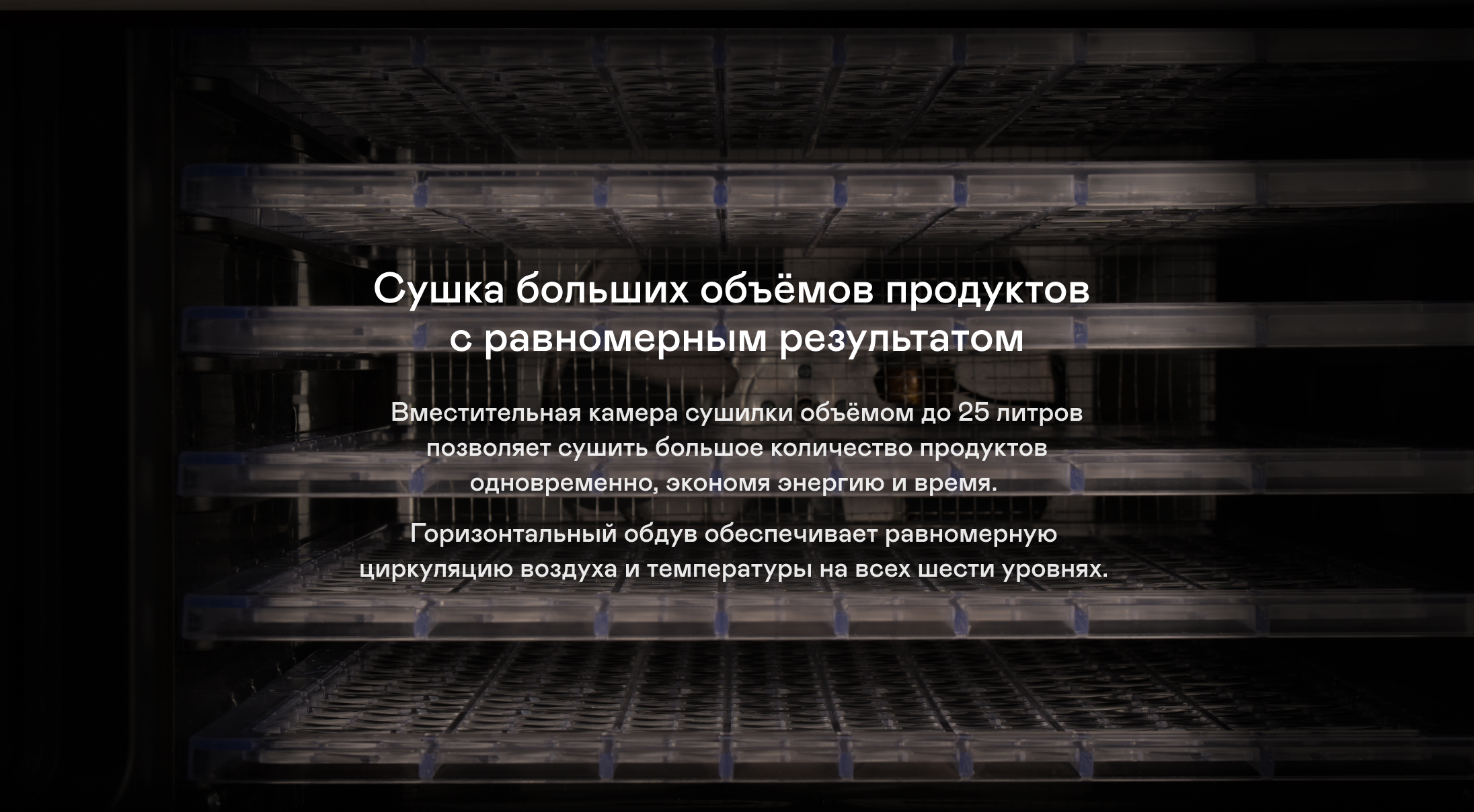 https://cdn.kitchenrussia.ru/image/product/2399/desc_sushilka_elektricheskaya_dlya_ovoschey_i_fruktov_garlyn_d-06_1.jpg