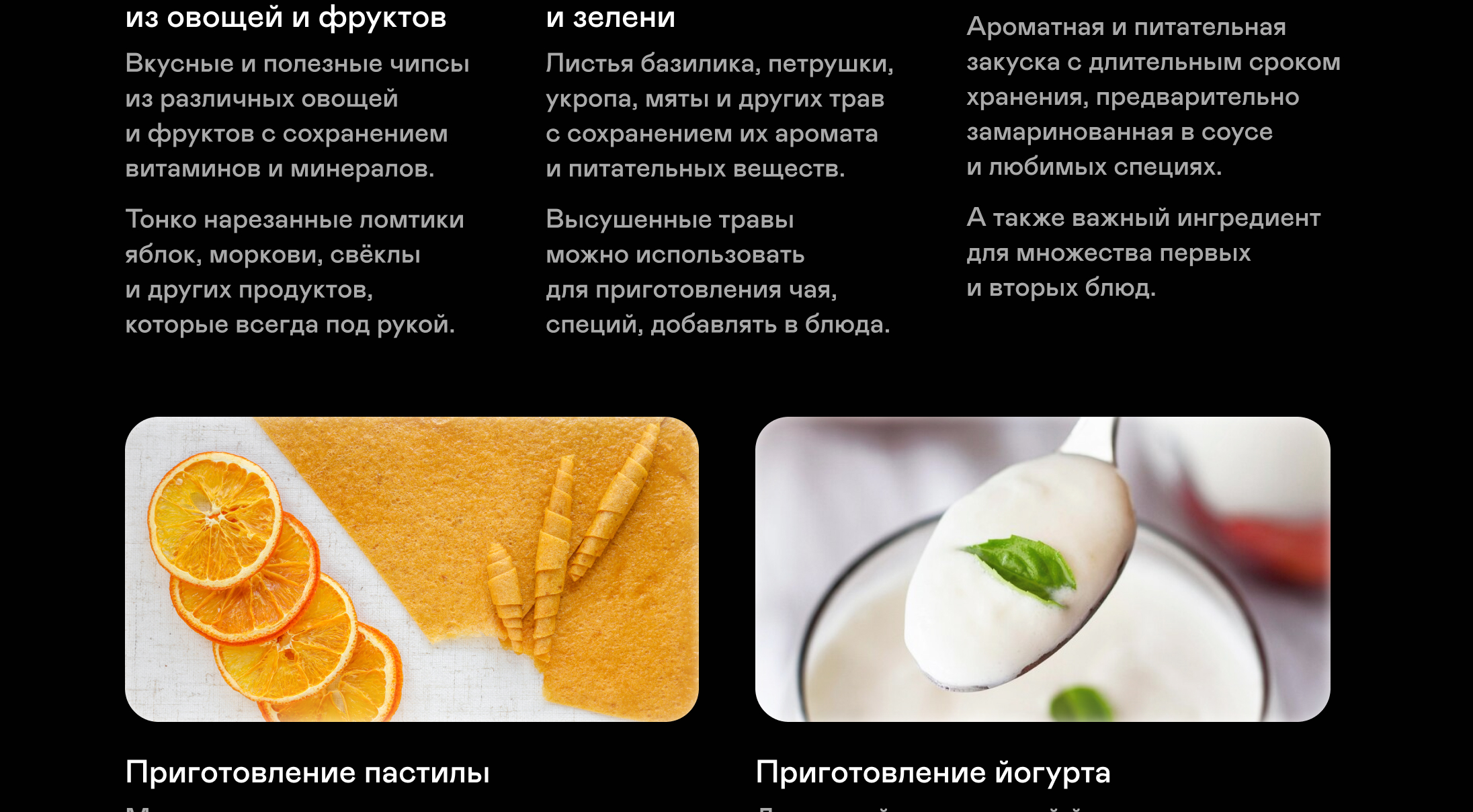 https://cdn.kitchenrussia.ru/image/product/2399/desc_sushilka_elektricheskaya_dlya_ovoschey_i_fruktov_garlyn_d-06_4.jpg