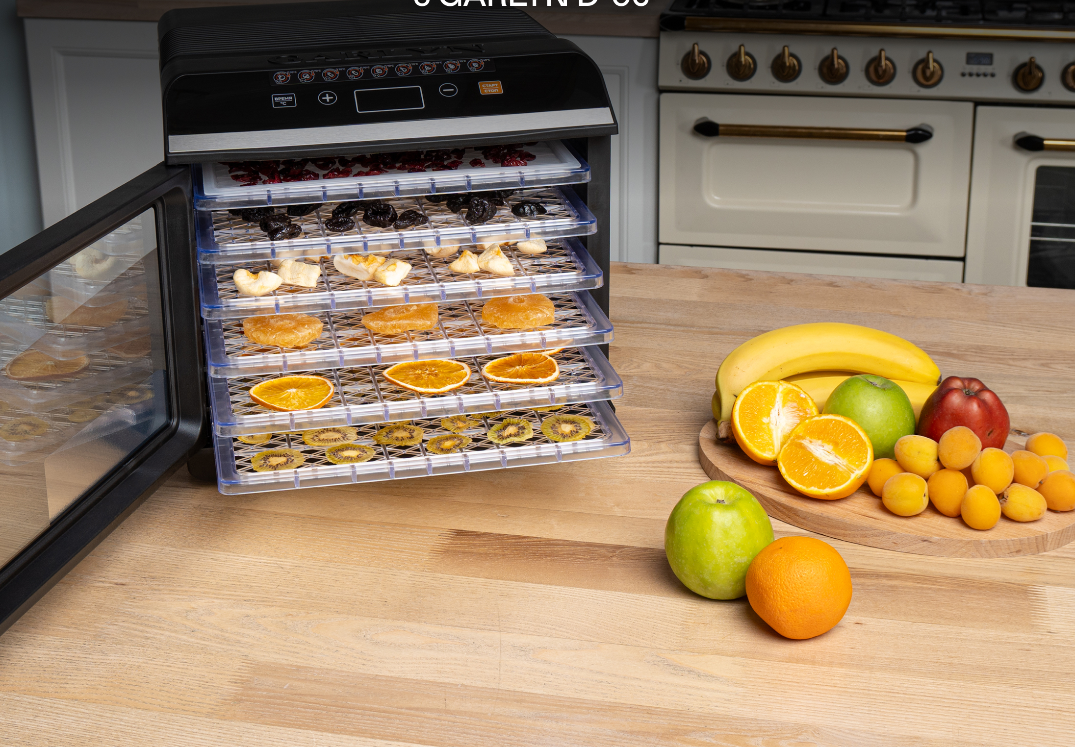 https://cdn.kitchenrussia.ru/image/product/2399/desc_sushilka_elektricheskaya_dlya_ovoschey_i_fruktov_garlyn_d-06_8.jpg