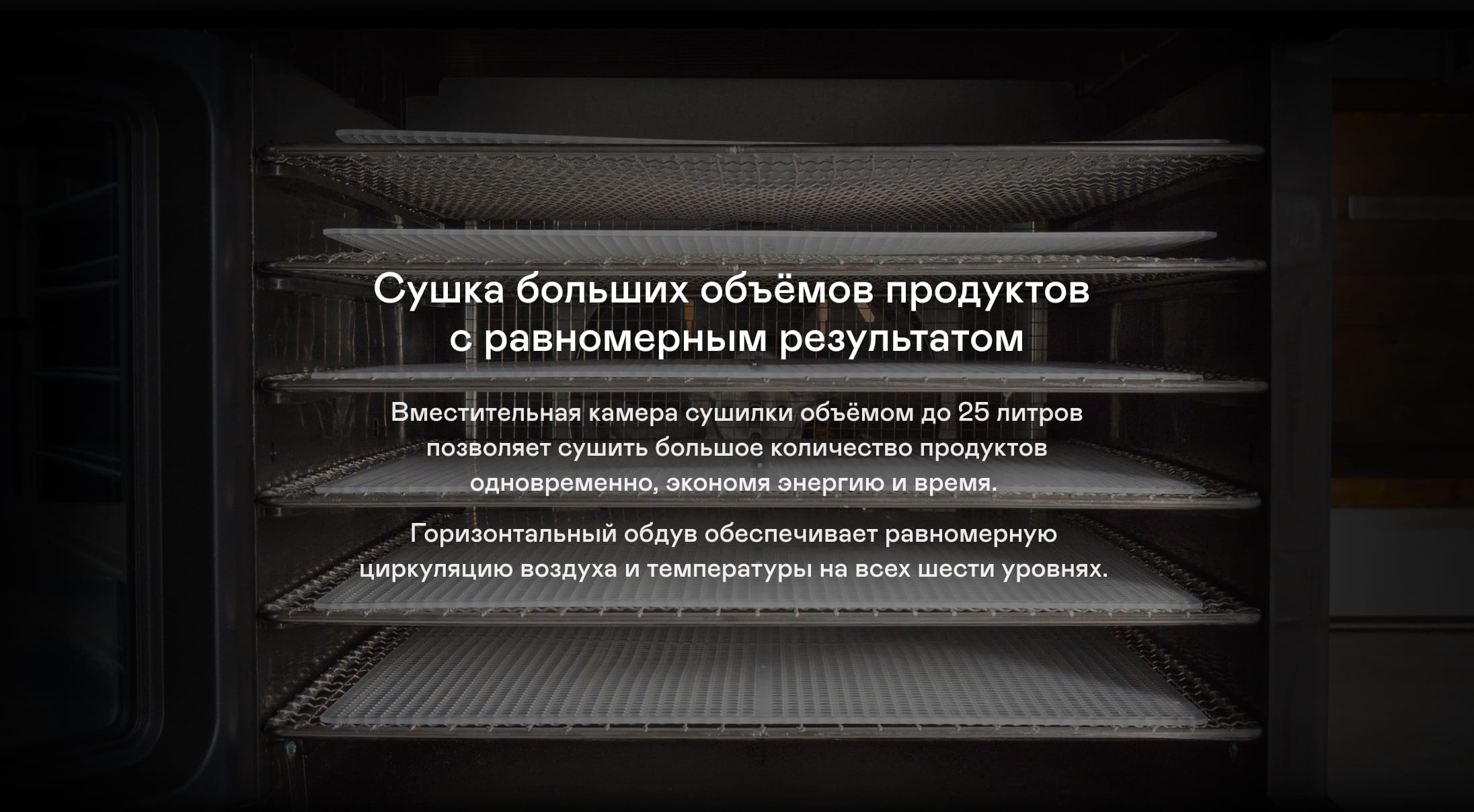 https://cdn.kitchenrussia.ru/image/product/2418/desc_sushilka_elektricheskaya_dlya_ovoschey_i_fruktov_garlyn_d-06_pro_1.jpg