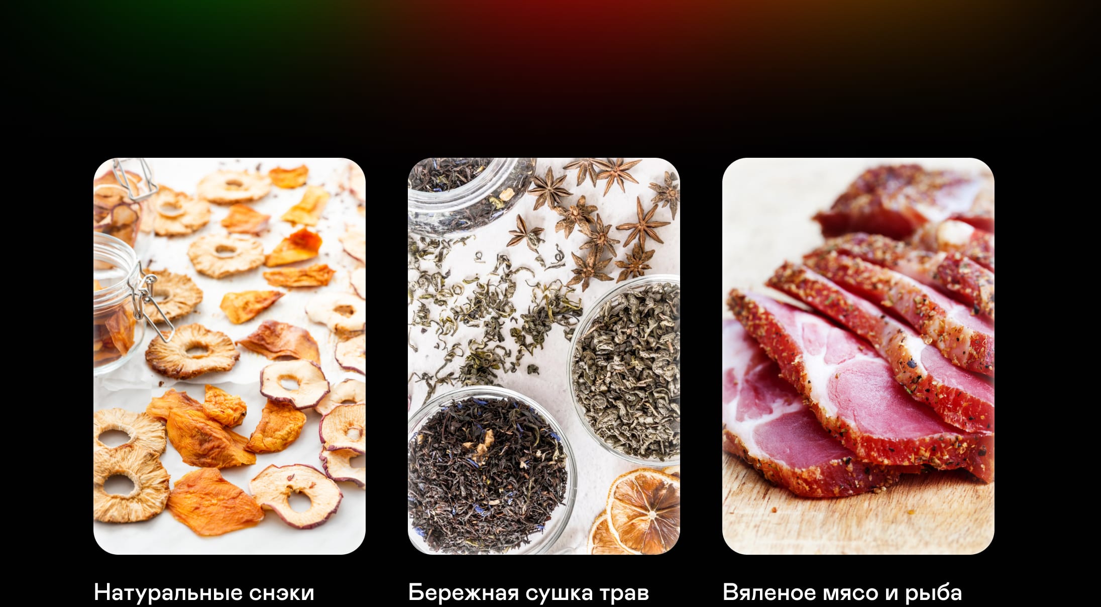 https://cdn.kitchenrussia.ru/image/product/2418/desc_sushilka_elektricheskaya_dlya_ovoschey_i_fruktov_garlyn_d-06_pro_3.jpg