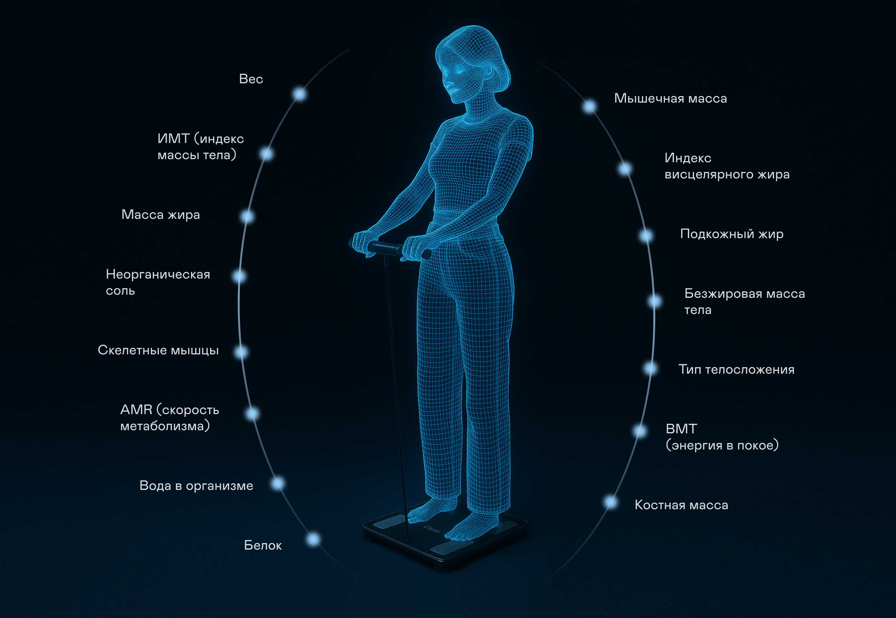 https://cdn.kitchenrussia.ru/image/product/2547/desc_vesy_napolnye_umnye_garlyn_bodyscan_master_2.jpg